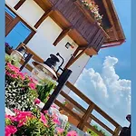 Gold Horse Vendeghaz Guest house 3*
