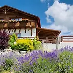Gold Horse Vendeghaz Guest house Szilvasvarad