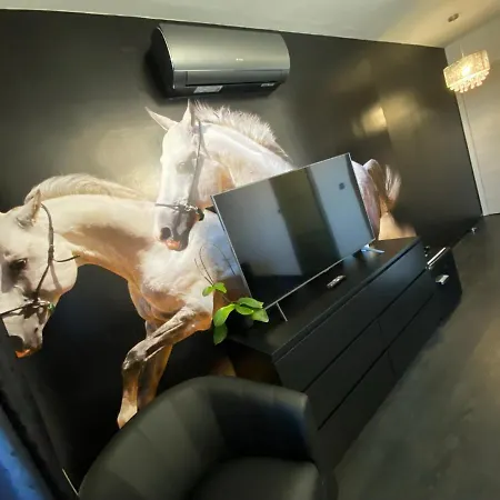 Guest house Gold Horse Vendeghaz *