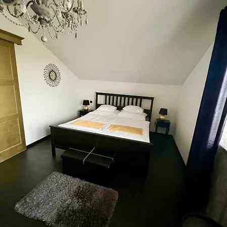 Gold Horse Vendeghaz Guest house *