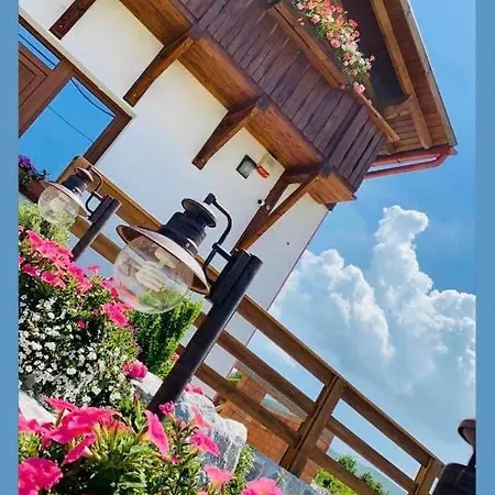 Gold Horse Vendeghaz Guest house *