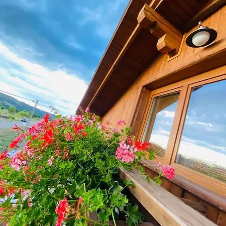 Gold Horse Vendeghaz Guest house
