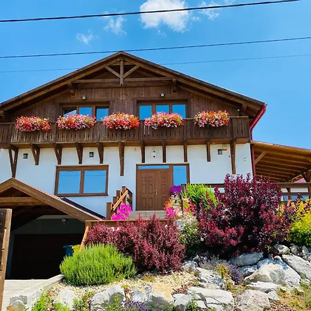 Guest house Gold Horse Vendeghaz