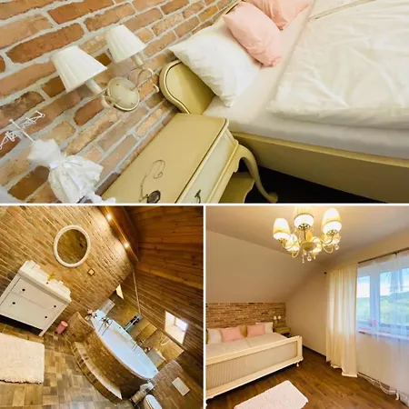 Gold Horse Vendeghaz Guest house *