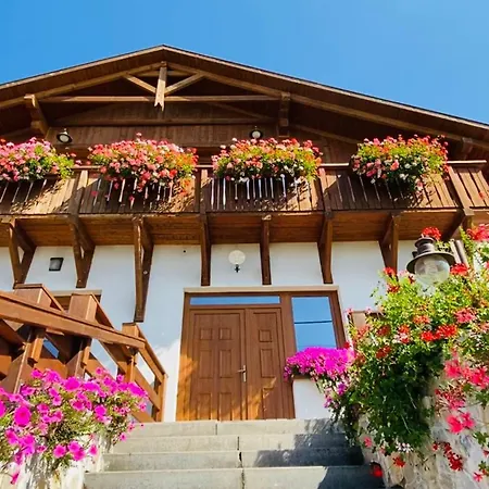 Gold Horse Vendeghaz Guest house