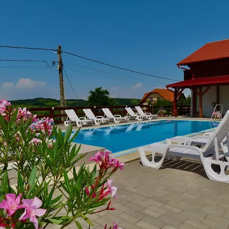 Gold Horse Vendeghaz Guest house *