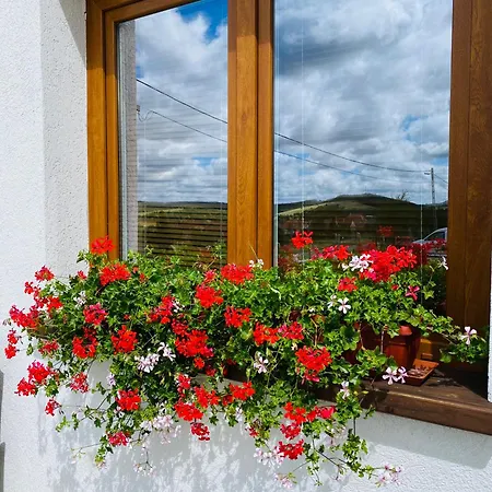Guest house Gold Horse Vendeghaz Szilvasvarad