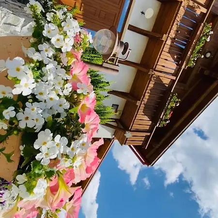 Guest house Gold Horse Vendeghaz