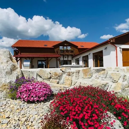 Gold Horse Vendeghaz Guest house *