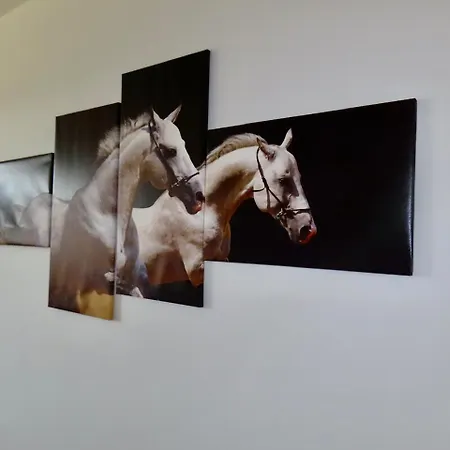 Gold Horse Vendeghaz Guest house
