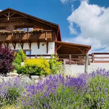 Gold Horse Vendeghaz بيت ضيافة Szilvásvárad